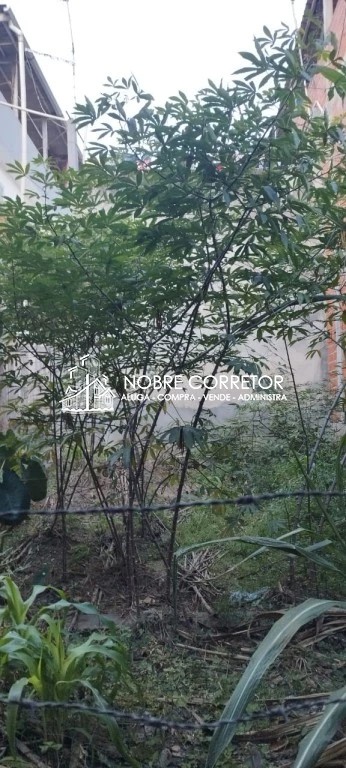 Casa, 10 quartos, 250 m² - Foto 13